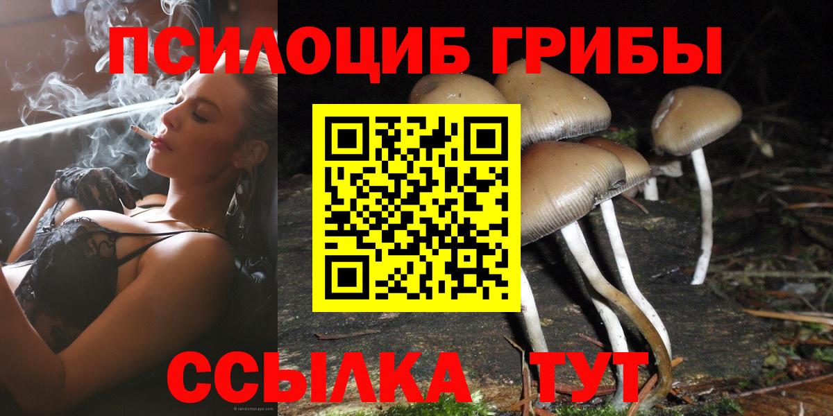 Псилоцибиновые грибы Cubensis  Вход с VPN  Узловая 