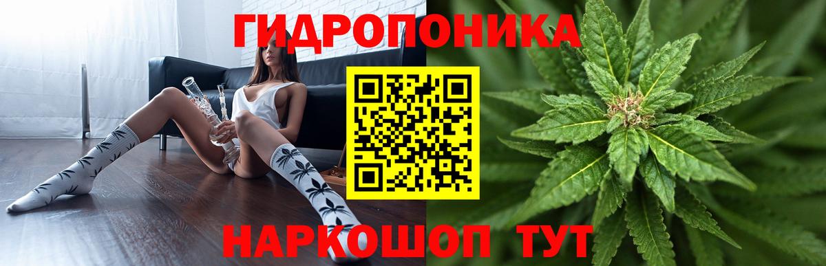 ГАШИШ Узловая